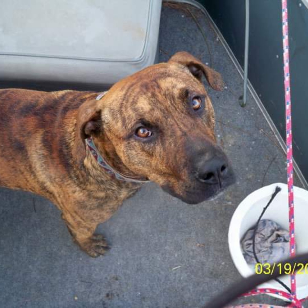 Meet your Posher, Jenni